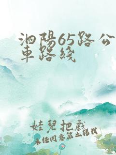 泗阳65路公交车路线