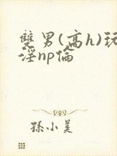 双男(高h)玩淫np伦