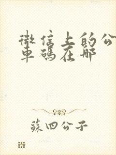 微信上的公交乘车码在哪
