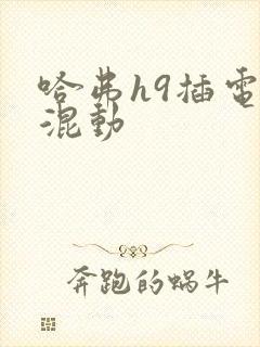 哈弗h9插电式混动