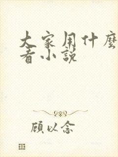 大家用什么软件看小说