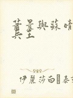 萧晨与苏晴全能兵王