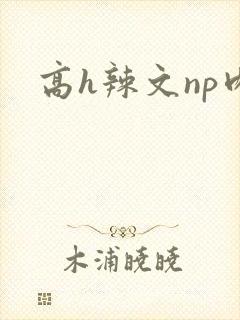 高h辣文np肉