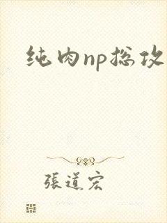 纯肉np总攻