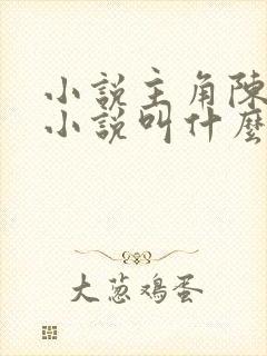 小说主角陈平的小说叫什么