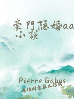 豪门隐婚aa制 小说
