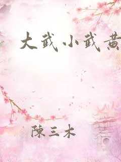 大武小武黄蓉