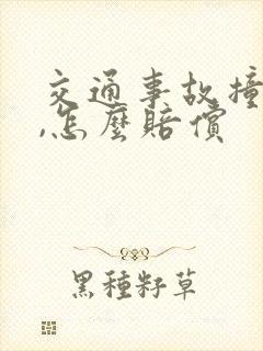 交通事故撞死人,怎么赔偿 交通事故撞死人,怎么赔偿