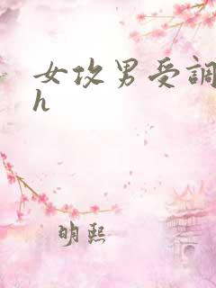 女攻男受调教高h