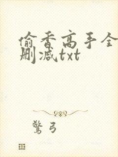 偷香高手全文无删减txt