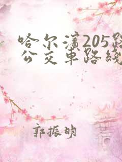 哈尔滨205路公交车路线图 哈尔滨205路公交车路线图