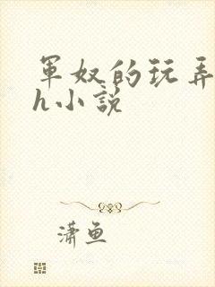 军奴的玩弄调教h小说