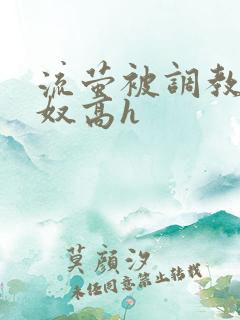 流萤被调教成肉奴高h