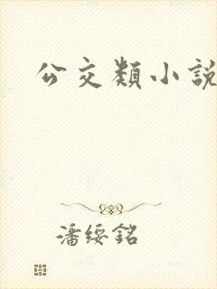 公交类小说