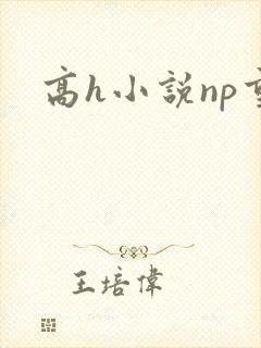 高h小说np重