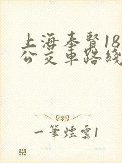 上海奉贤18路公交车路线图