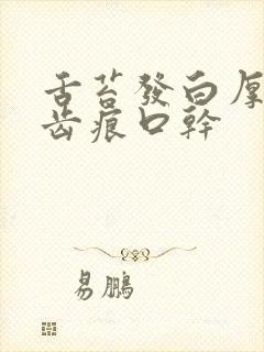 舌苔发白厚腻有齿痕口干