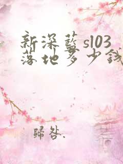 新深蓝sl03落地多少钱