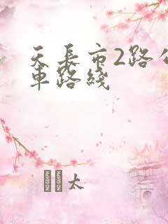 天长市2路公交车路线