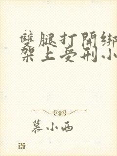 双腿打开绑在刑架上受刑小说