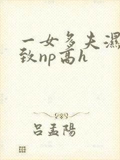 一女多夫湿润紧致np高h 一女多夫湿润紧致np高h