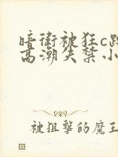 暗卫被狂c躁到高潮失禁小说