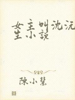 女主叫沈沅的重生小说