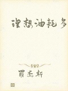 理想油耗多少