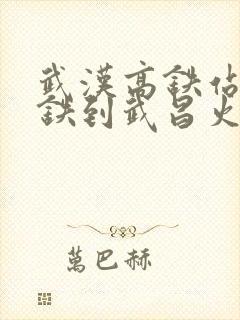 武汉高铁站坐地铁到武昌火车站要多久