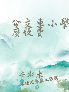 公交车小学生怎么收费