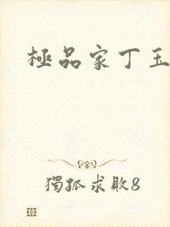 极品家丁玉