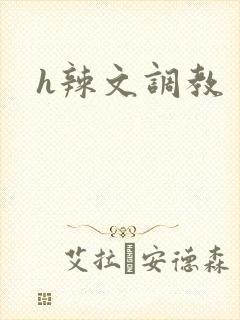 h辣文调教
