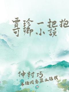 贾珍一把抱起秦可卿小说