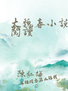 大魏春小说在线阅读
