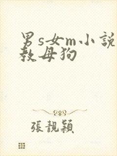 男s女m小说调教母狗