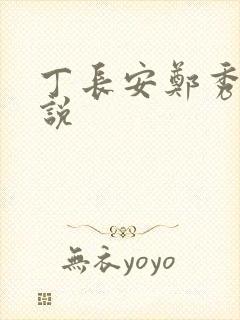 丁长安郑秀兰小说