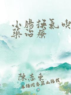 小肠换气吃什么药治疗