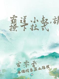 霸道小叔,请轻撩下拉式 霸道小叔,请轻撩下拉式
