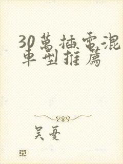 30万插电混动车型推荐