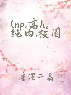 (np,高h,纯肉,校园