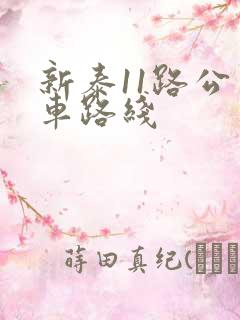 新泰11路公交车路线