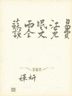 苏雨眠江易淮小说全文免费阅读