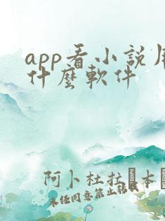 app看小说用什么软件