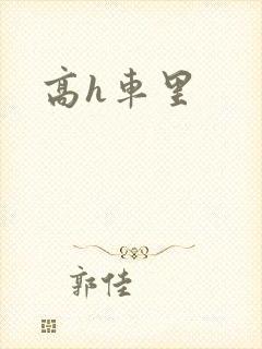 高h车里