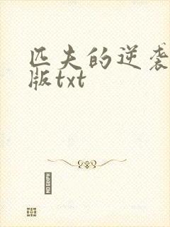 匹夫的逆袭精校版txt