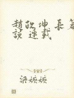 赵政坤 长篇小说 连载