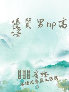 优质男np高h淫