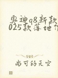 奥迪q8新款2025款落地价