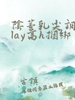 阴蒂乳尖调教play高h捆绑