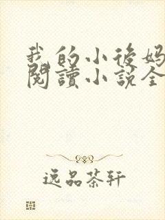 我的小后妈免费阅读小说全文